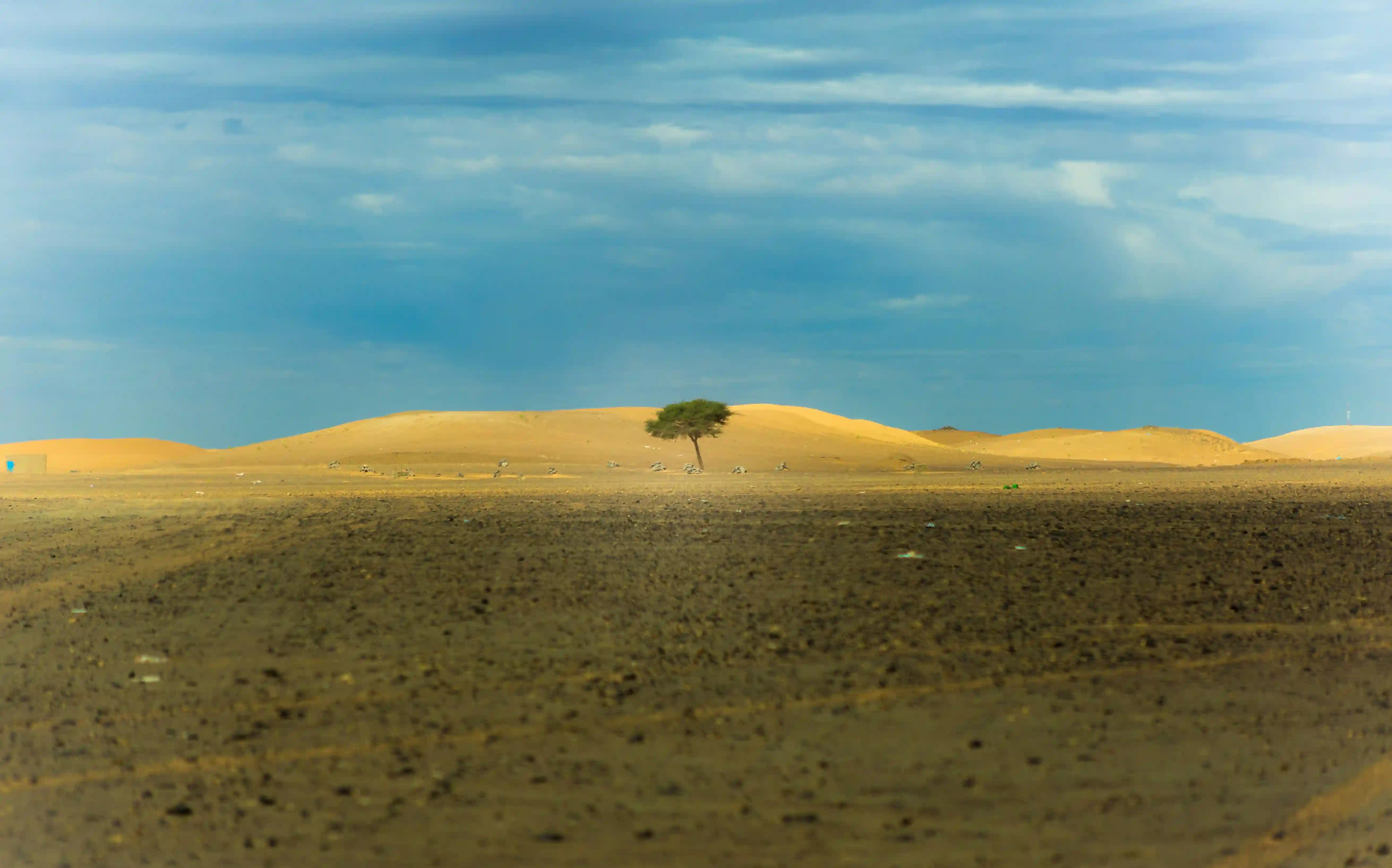 Woman practicing mindfulness to build emotional resilience