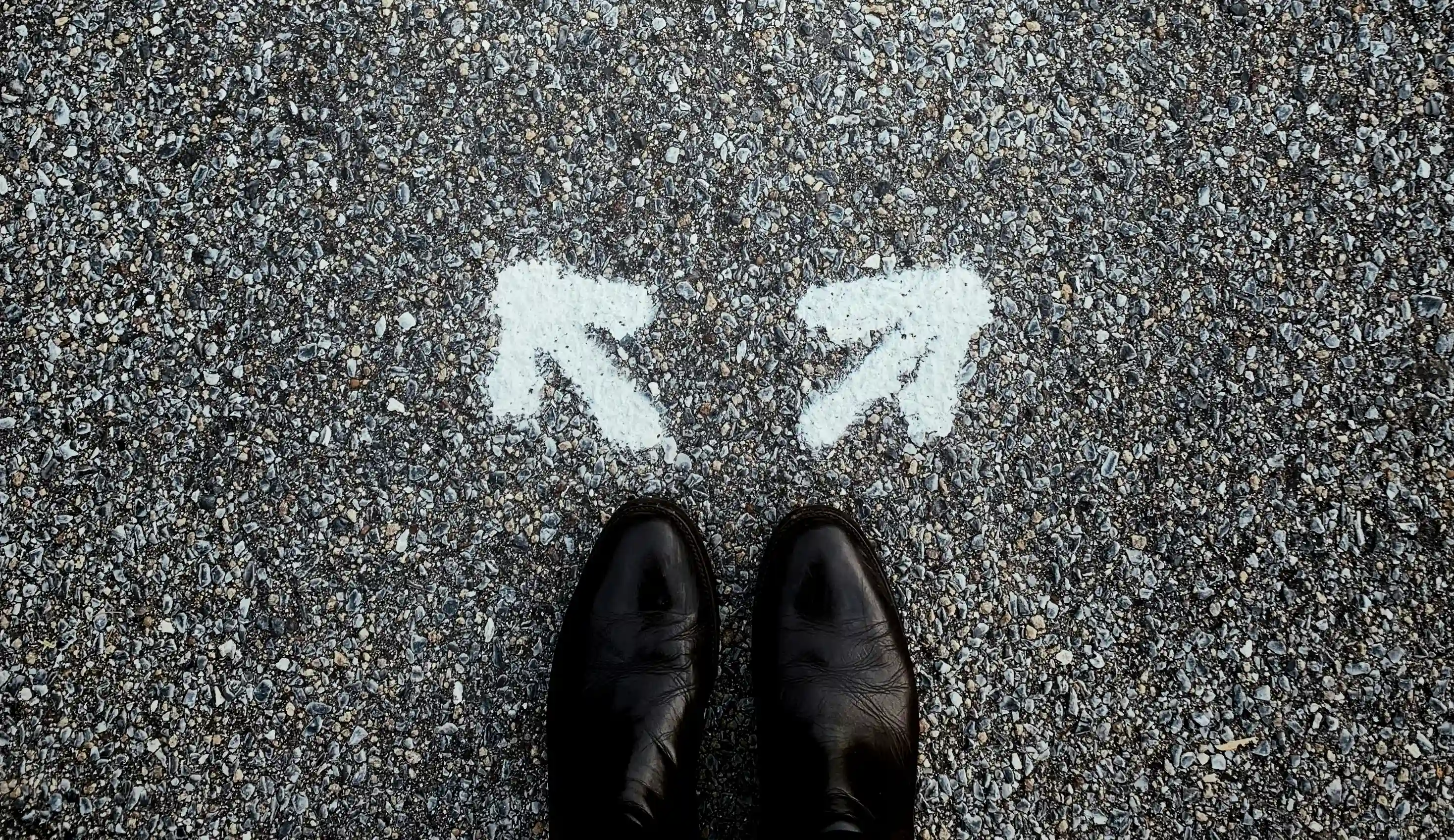 Specialist vs Generalist Career Paths