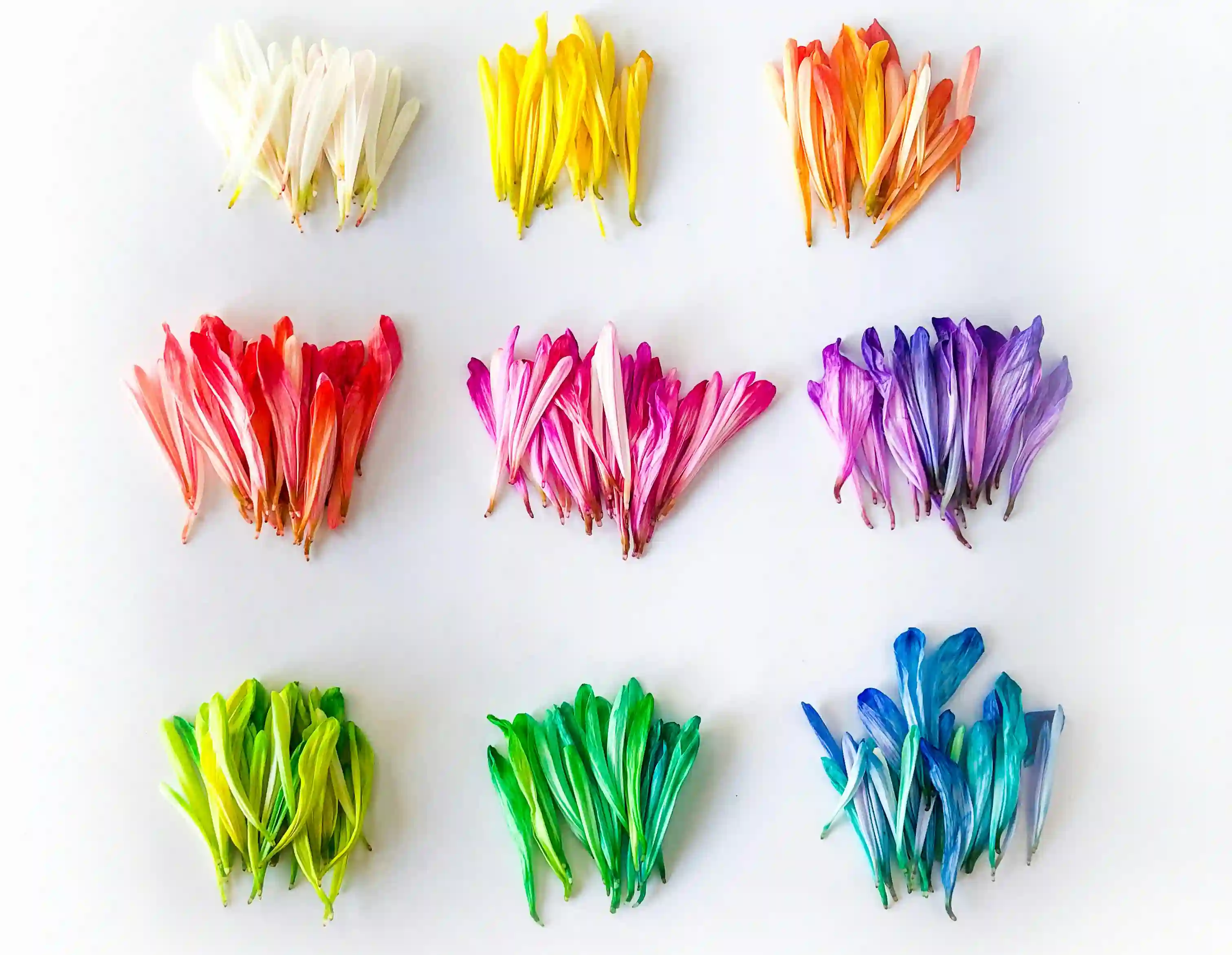 Python Class Syntax Examples