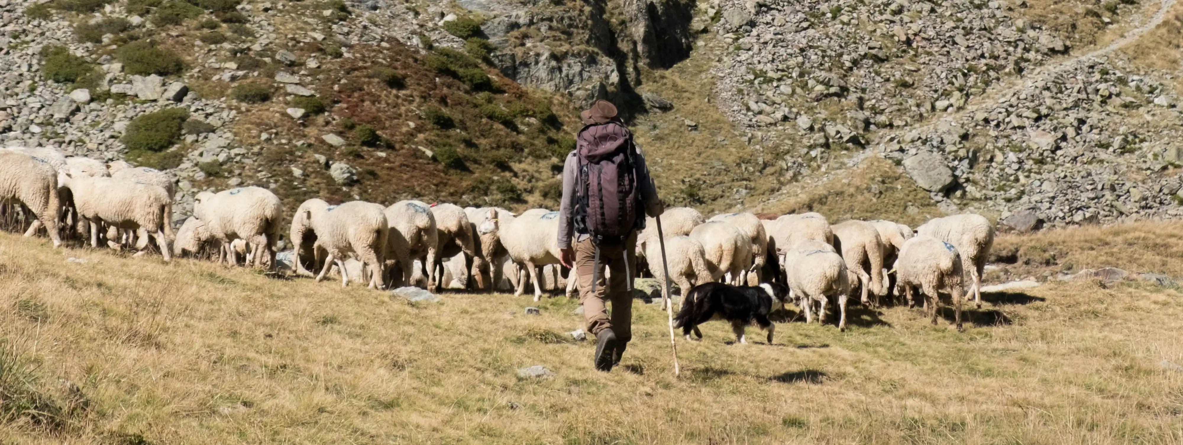 Mastering Leadership