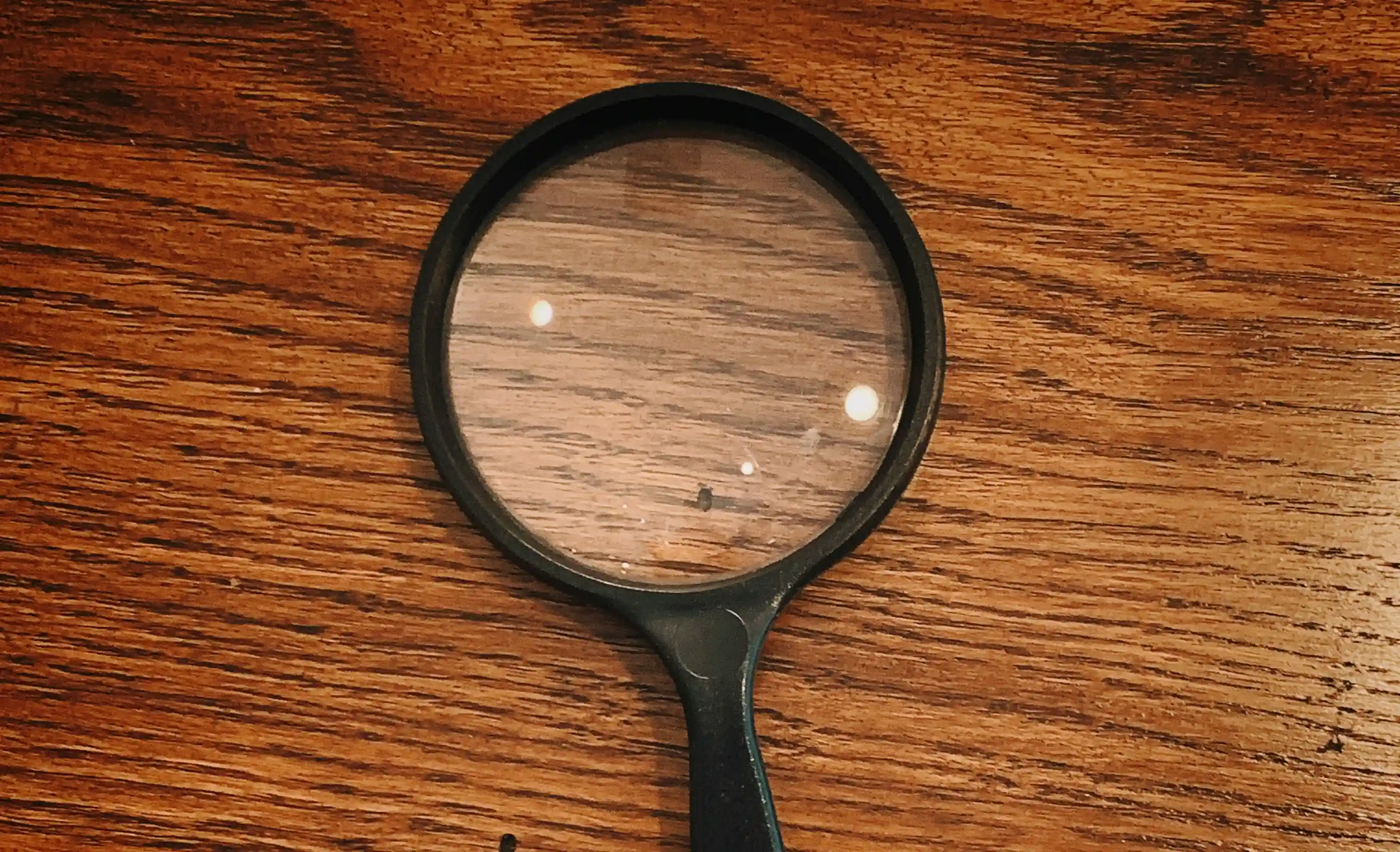 Help Your Sheep Identify with You